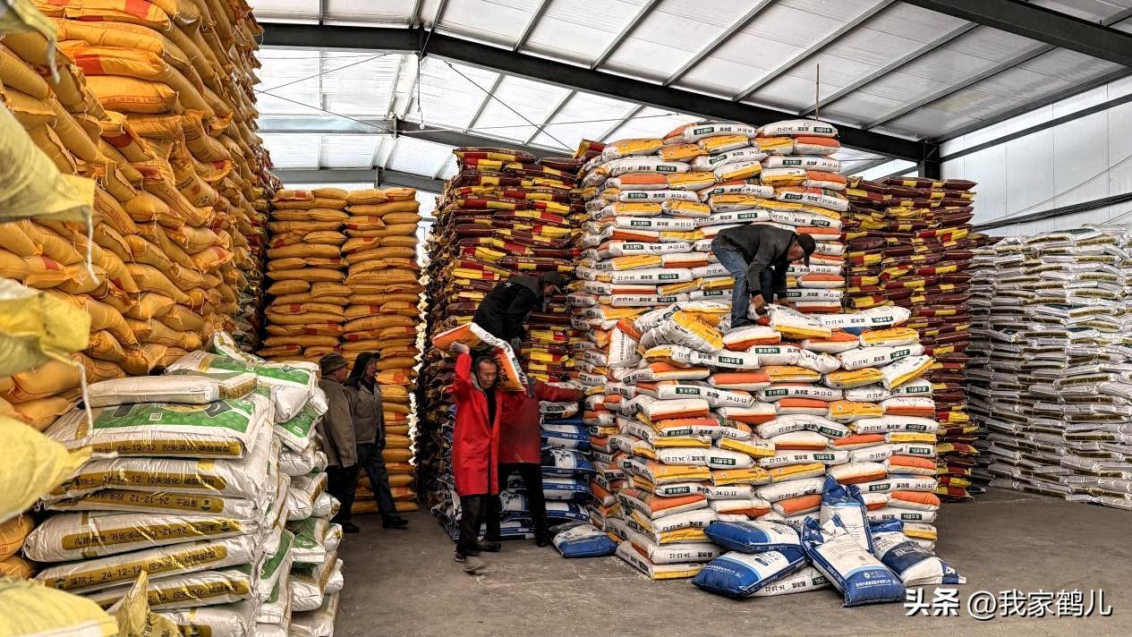 晒图笔记大赛甘肃省永登县[烟花]
紧扣“稳面积、增单产、保安全”目标，抢抓农时整