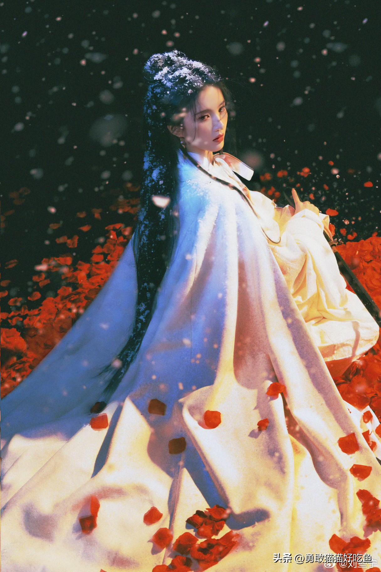 刘些宁分享图片