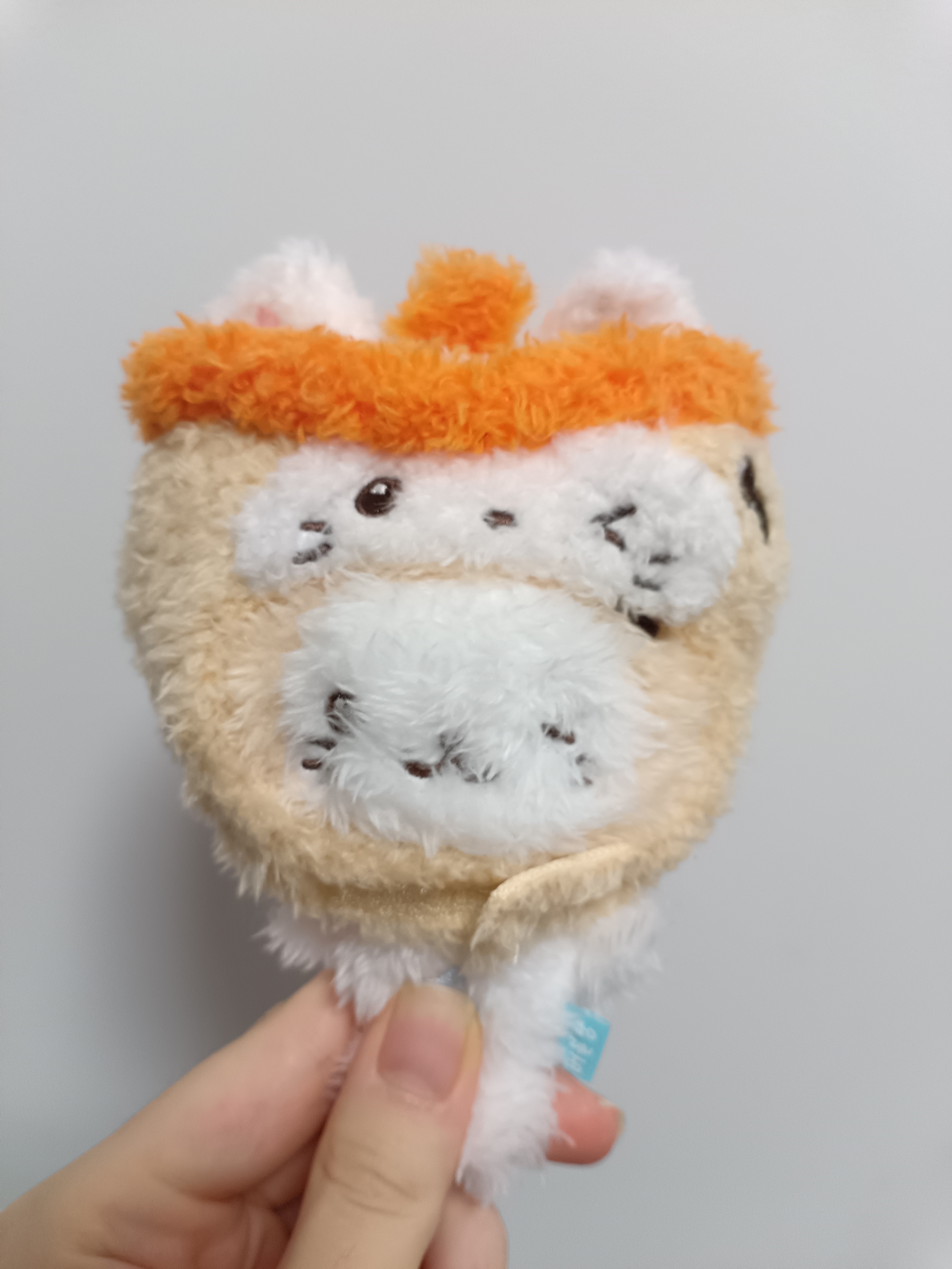 套这个mini感觉要把猫脑袋挤爆了 