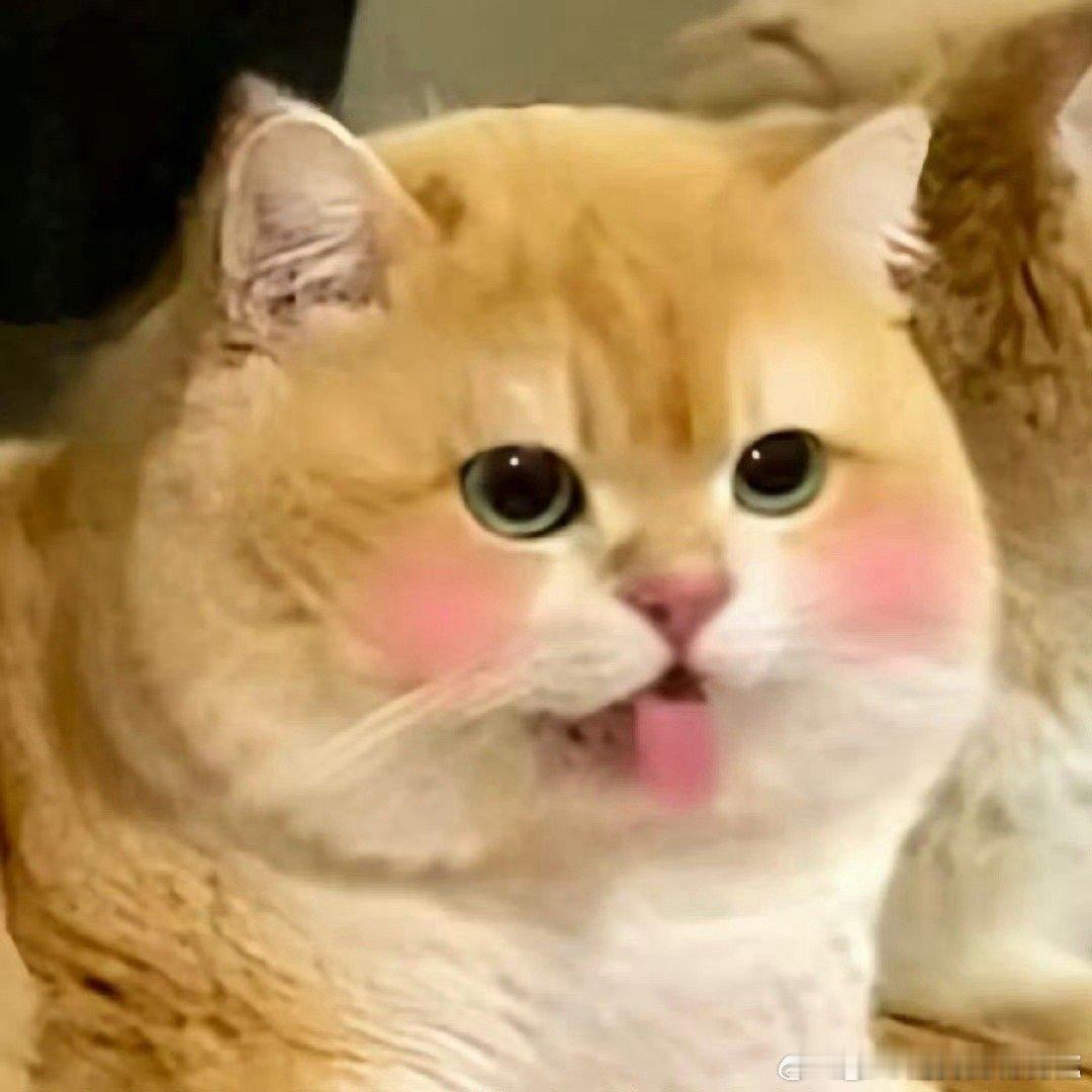 #走在科技前沿的花粉belike#身为国人真的很自豪，自主研发的系统真的很棒，生