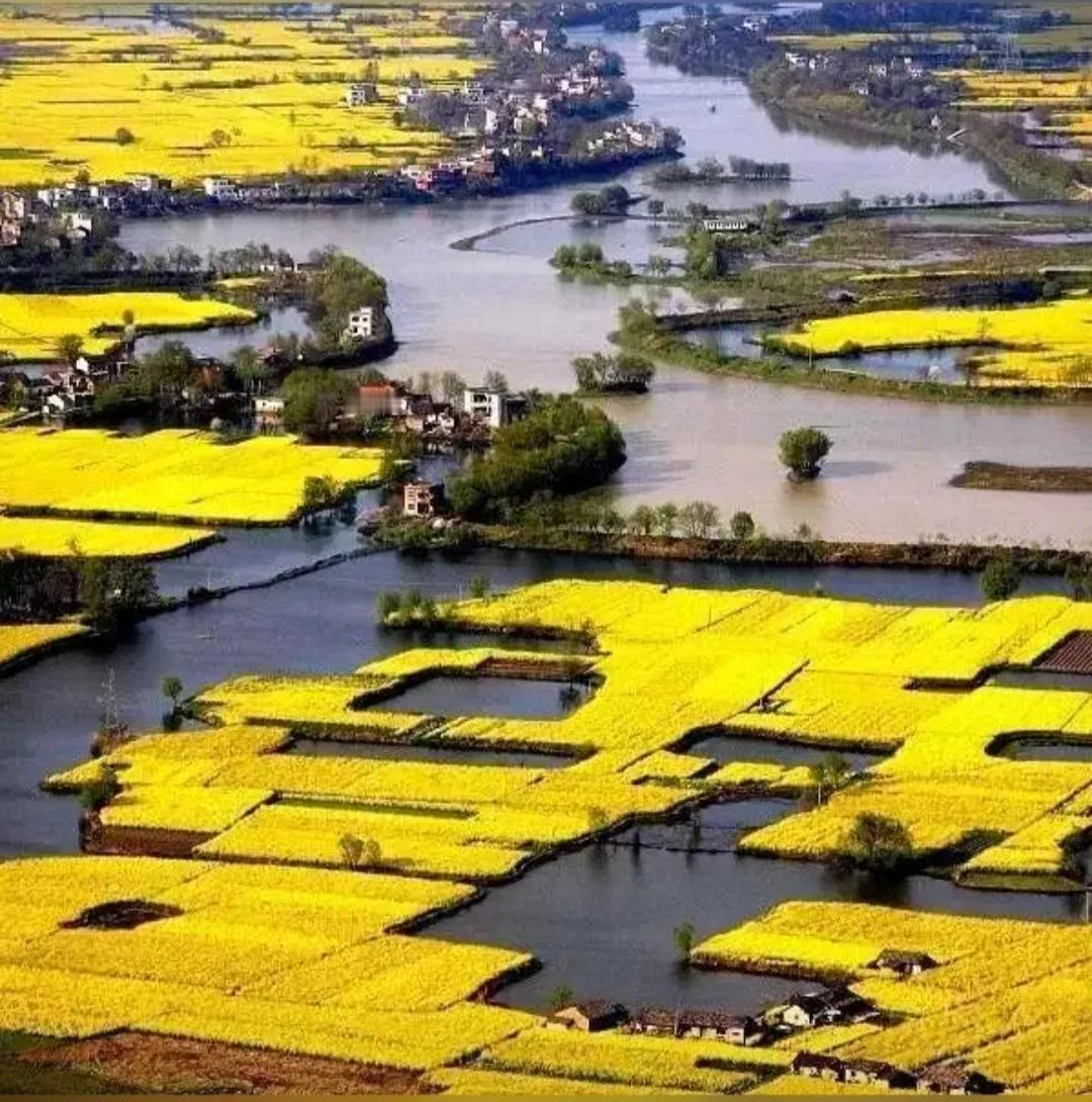 西南地区的方言口音复杂，往往只隔着一座山，两边说话都不大听得懂了，这是因为那里地