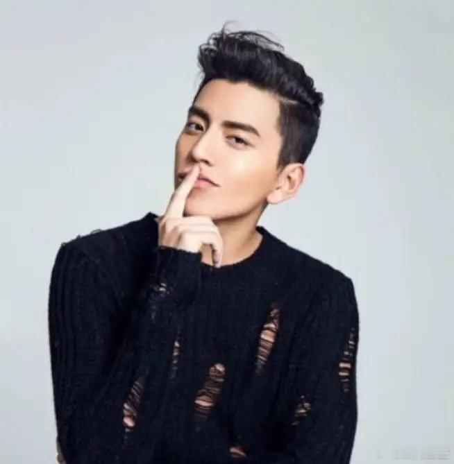 王大陆被判刑6个月！王大陆和女友因为非法获得他人信息，被判刑6个月，不过只要每月