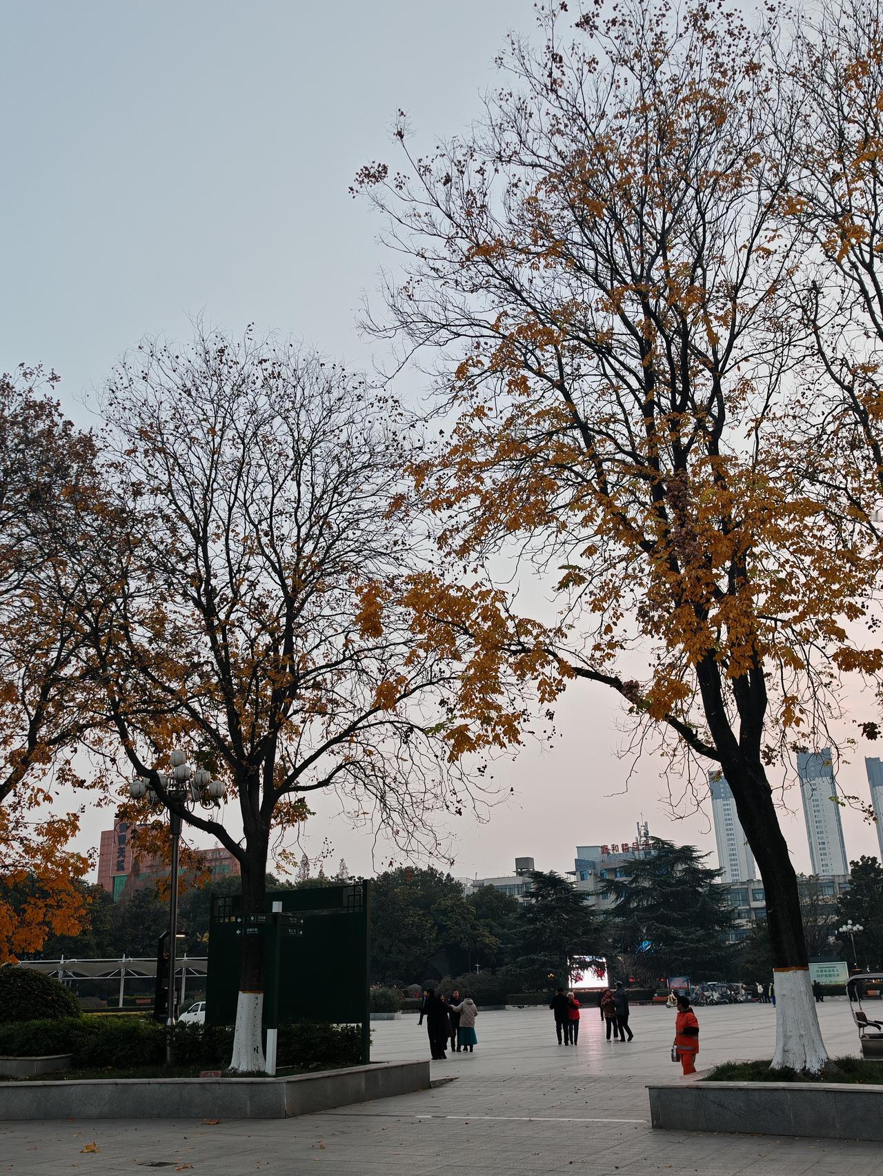 “闻鸡起舞”这成语超励志，原指听到鸡啼就起来舞剑，后来比喻有志报国的人即时奋起。