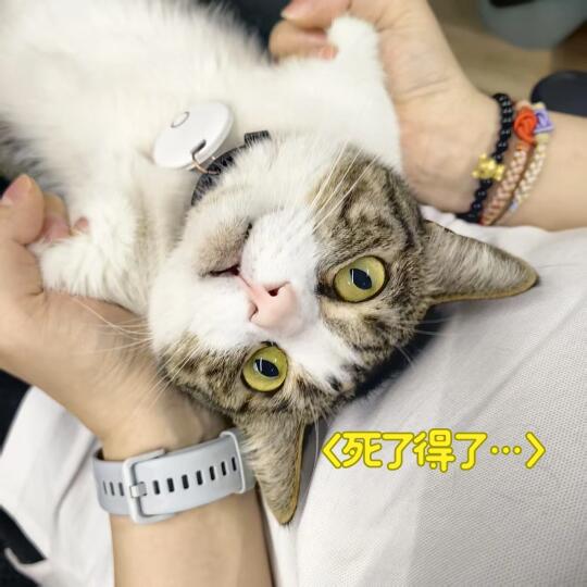 孩子都经历了什么…