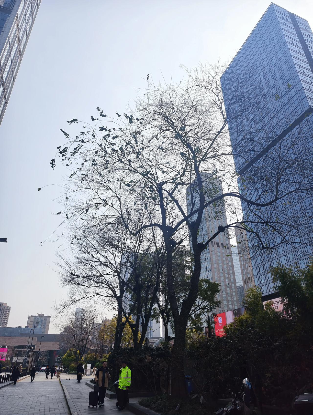 在网上，很多人迷信武力在现代国家的作用，是他们没有搞清楚人类已经进入到了一个新的