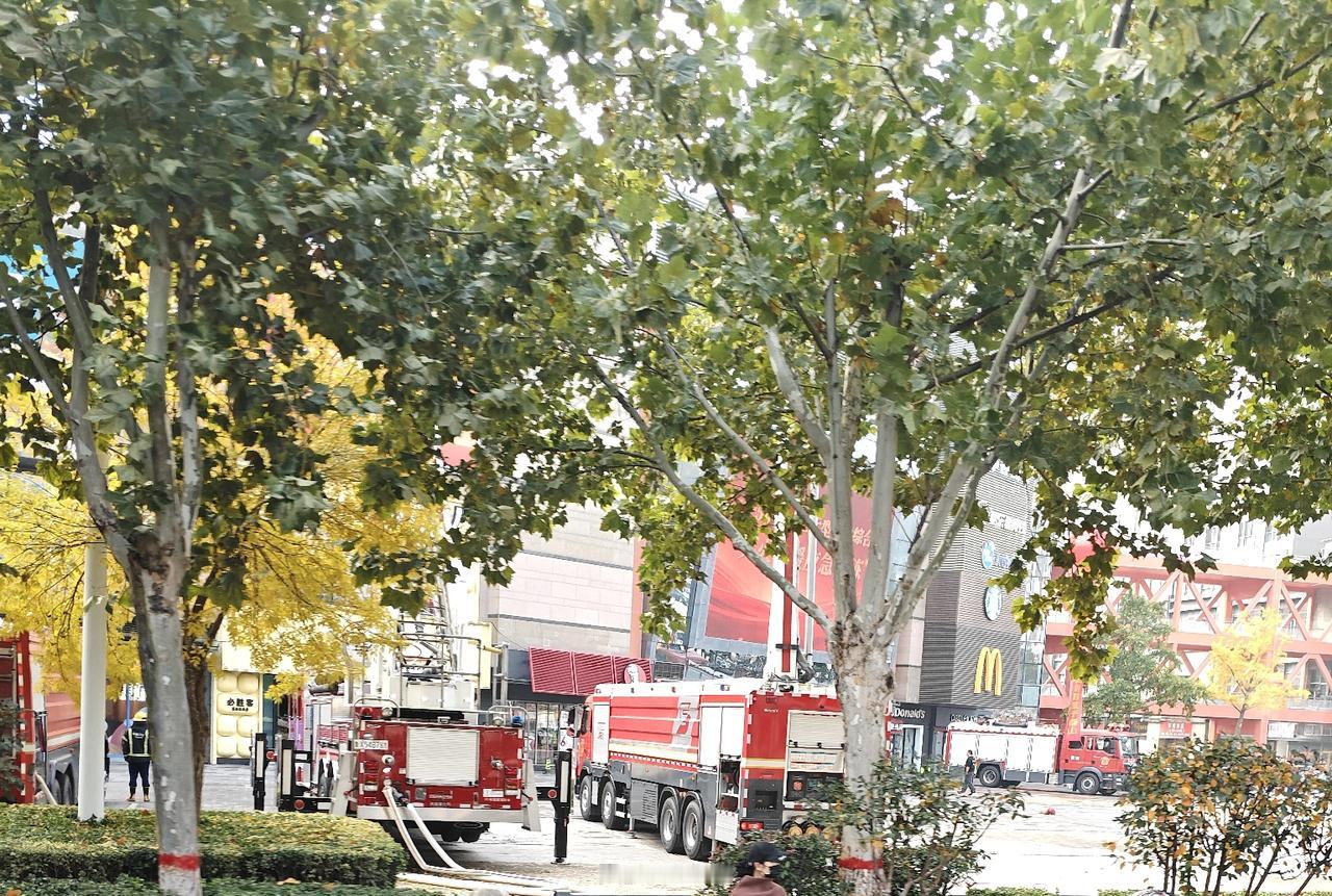 刚刚路过即墨区蓝鳌路宝龙广场，看到宝龙广场门口停了很多消防车，还摆放了一些消防器