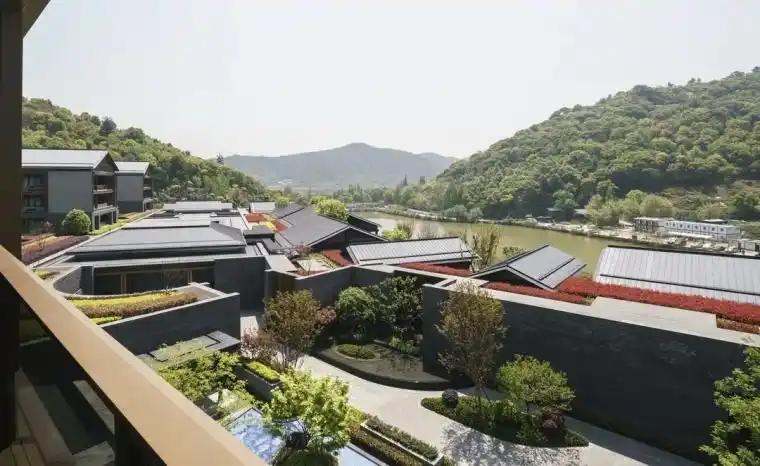 杭州这家五星级酒店，18棵特色树，花了34.5万元，平均一棵树1.92万，值不值