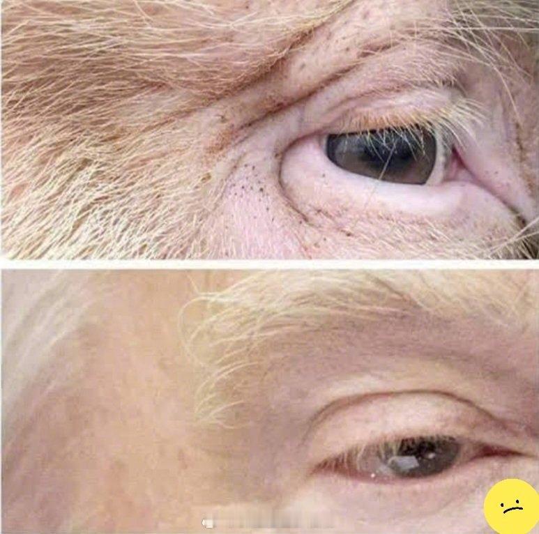 委美冲突看图猜动物，哪个是特朗普，哪个是猪 中方回应特朗普谈格陵兰岛涉华言论