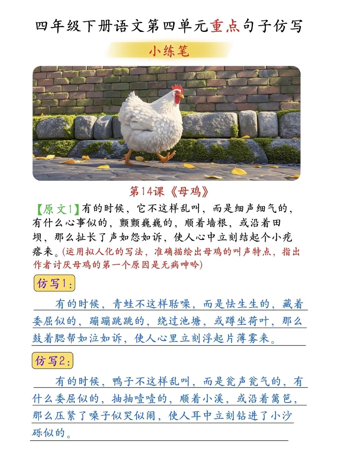 四年级下册语文，第四单元第14课《母鸡》课内句子仿写，收藏备用四年级语文 句子仿