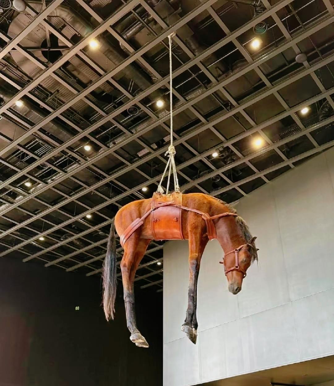 告诉你一个残忍的人际关系。真实改变，从此刻开始.5步重塑社交态度——你不用成为别