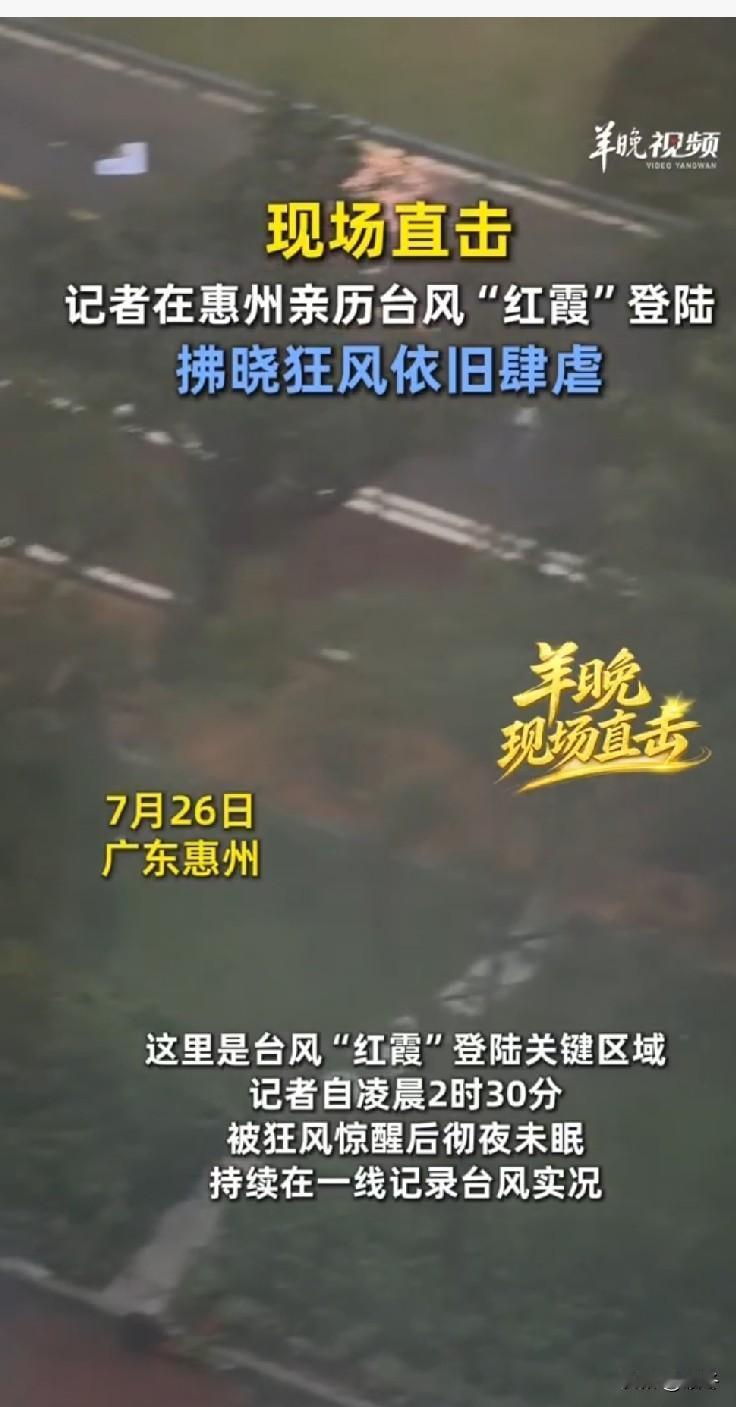 14级强台风“红霞”凌晨登陆惠州！近十年珠江口以东最强，多地暴雨红色预警生效
 