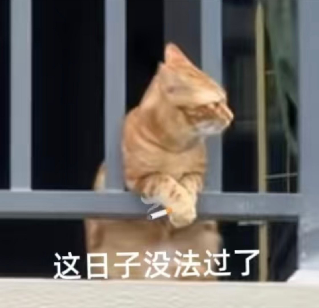 前两天打小三🛺轮，平论被咖的，现在发不进词条了[笑cry][笑cry]我得退休