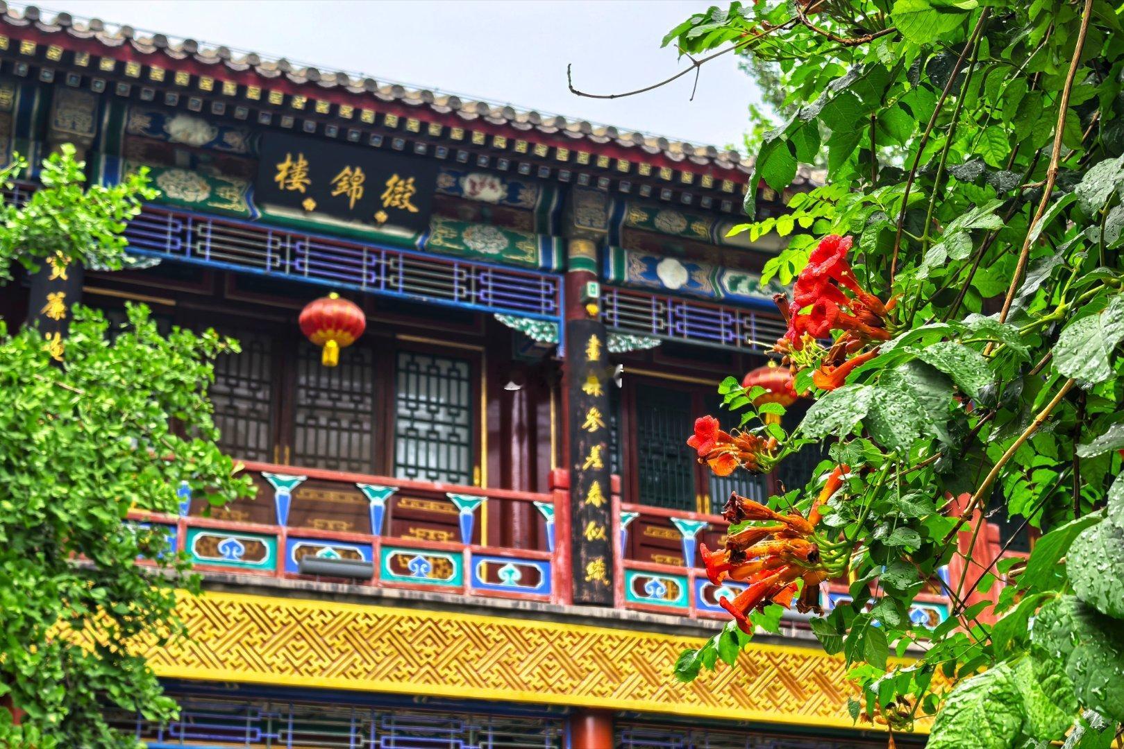 北京大观园凌霄花  摄影​​​