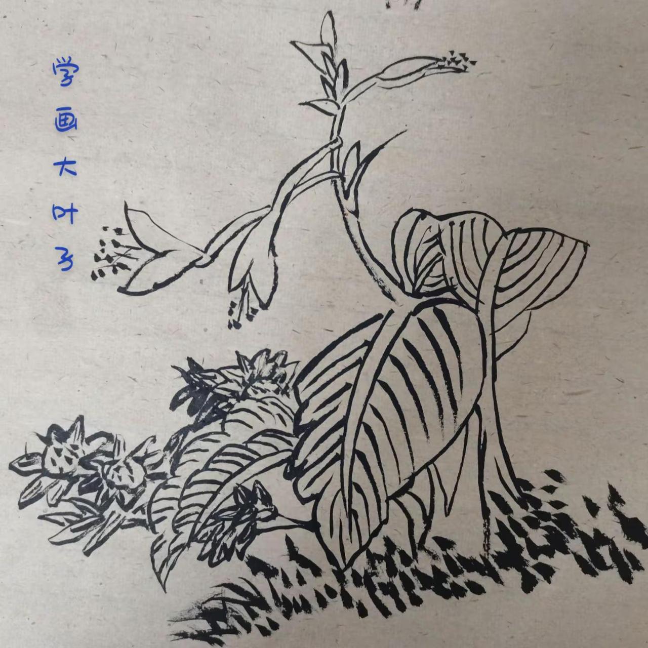 老师说了，学水墨，先学双钩。有道理啊！