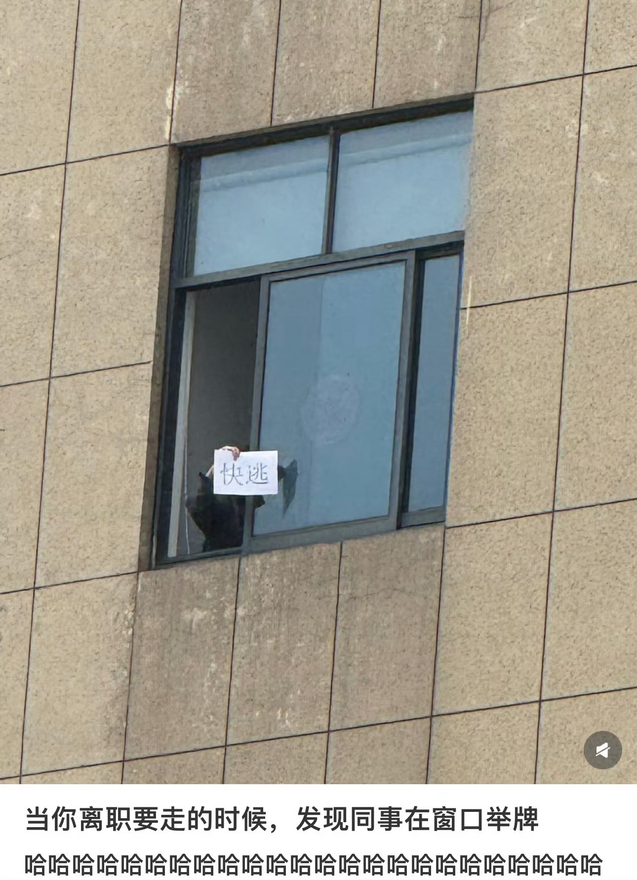 哈哈哈哈哈哈哈哈哈同事生怕你后悔又重陷泥潭。离职要走发现同事在窗口举牌
