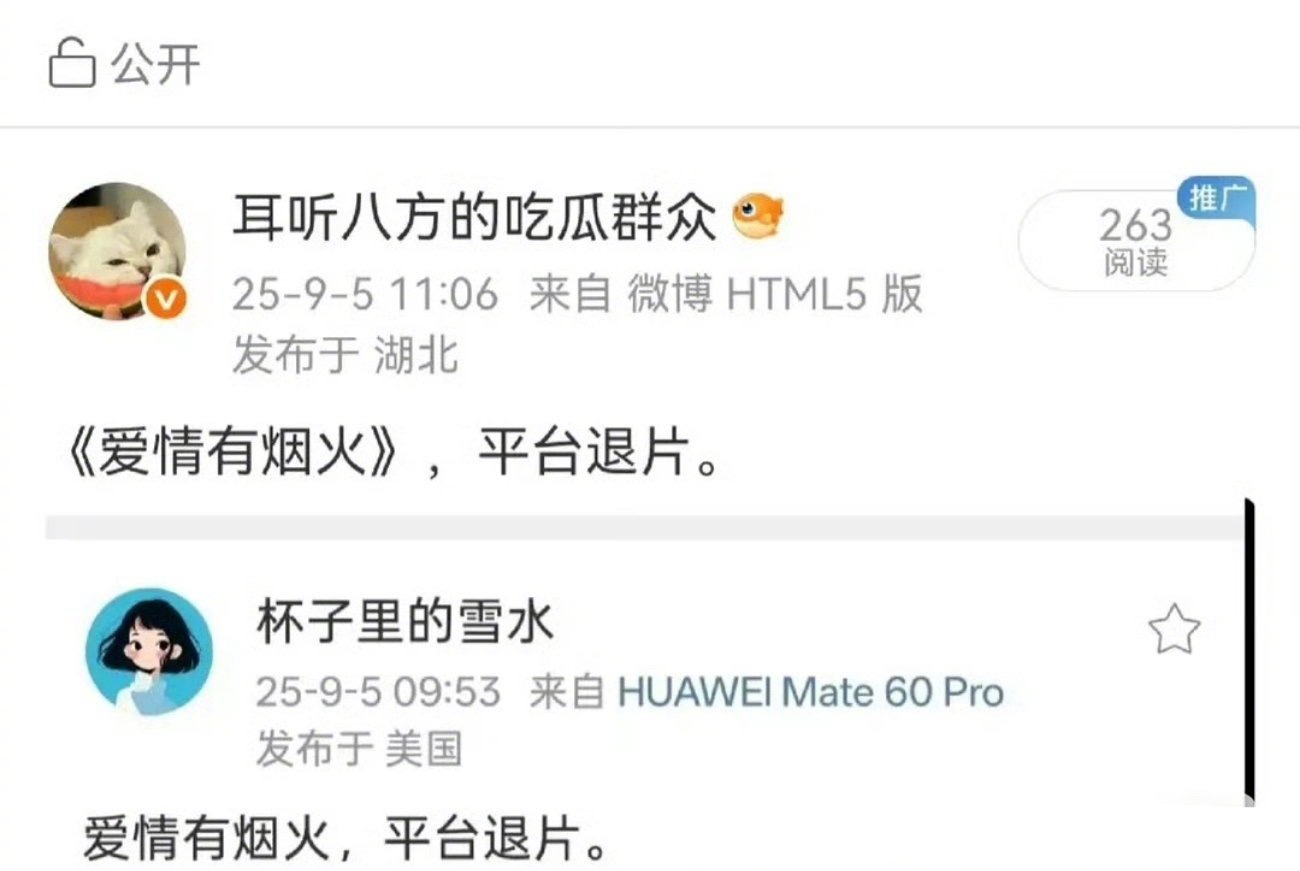 檀健次和王楚然的《爱情有烟火》被平台退片了，这部戏男二塌了，制片人跑了，还有机会