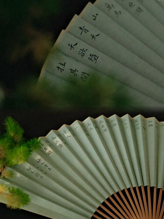 夏天可不能没有小扇子呀～