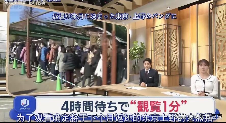 刷到日本民众看熊猫排4小时队、还只给1分钟观赏。有小朋友没看到还哭了。说实话，要