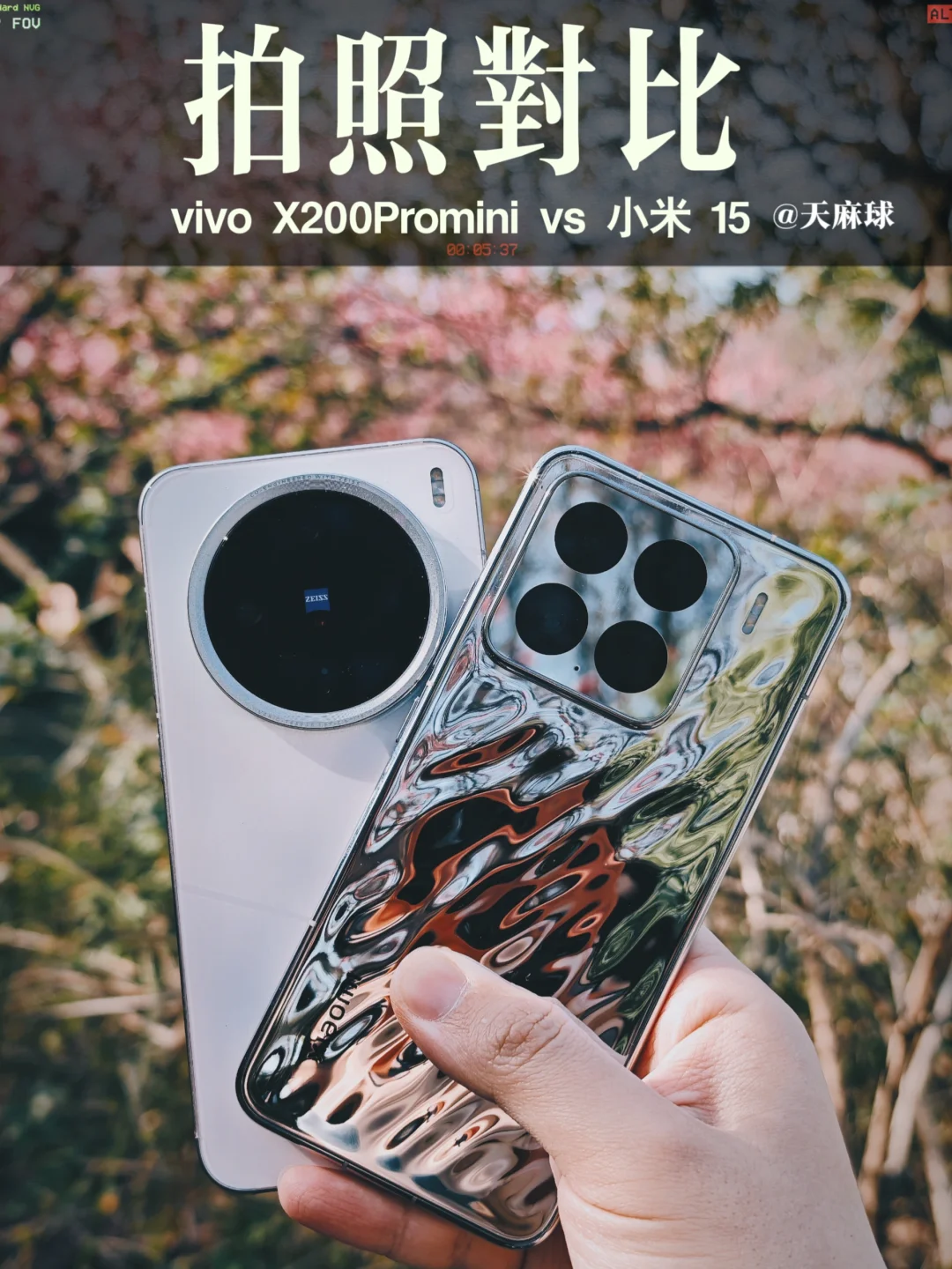 vvivo 小米 你选哪个？