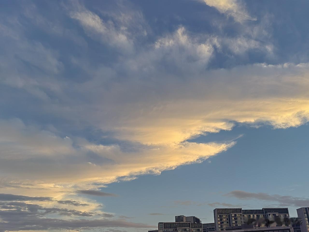 今天起了个早，推开窗户白云漂浮在城市的上空，还没看见太阳的影子，白云已经被阳光一