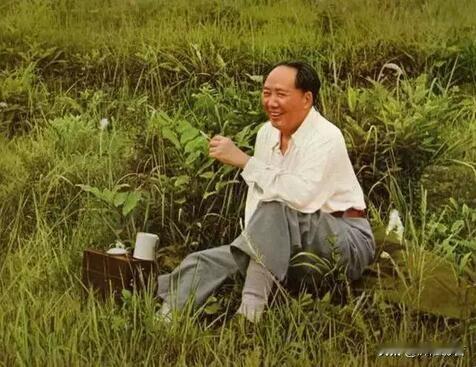 🌌登高望远，方能洞察前行方向。

🙏缅怀伟大领袖毛主席，感悟他高瞻远瞩的思想