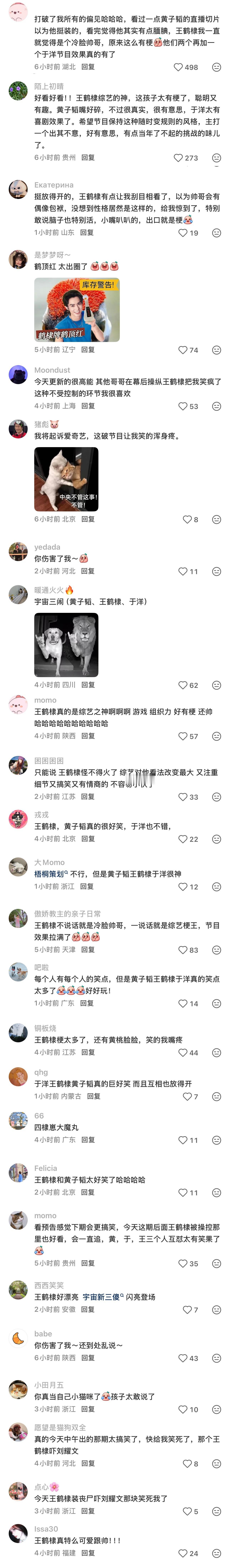 在谨慎去掉了一些可辨认的粉丝评论or涉及其他嘉宾的可能有争议的评论后，还是留下了