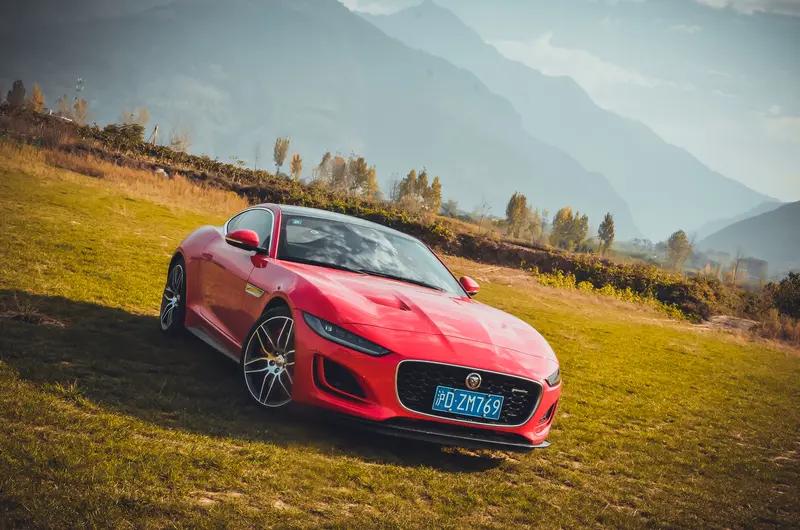 作为销售老油条，我有话要说，
老公问老婆，你喜欢啥呀？
老婆说，喜欢小动物和花！