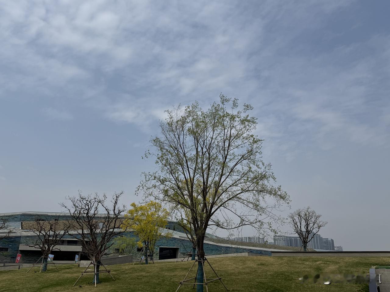 认识了一位老师，是个狠角色！
她说有一次在一个地方代理机构评bd的标，一共五个项