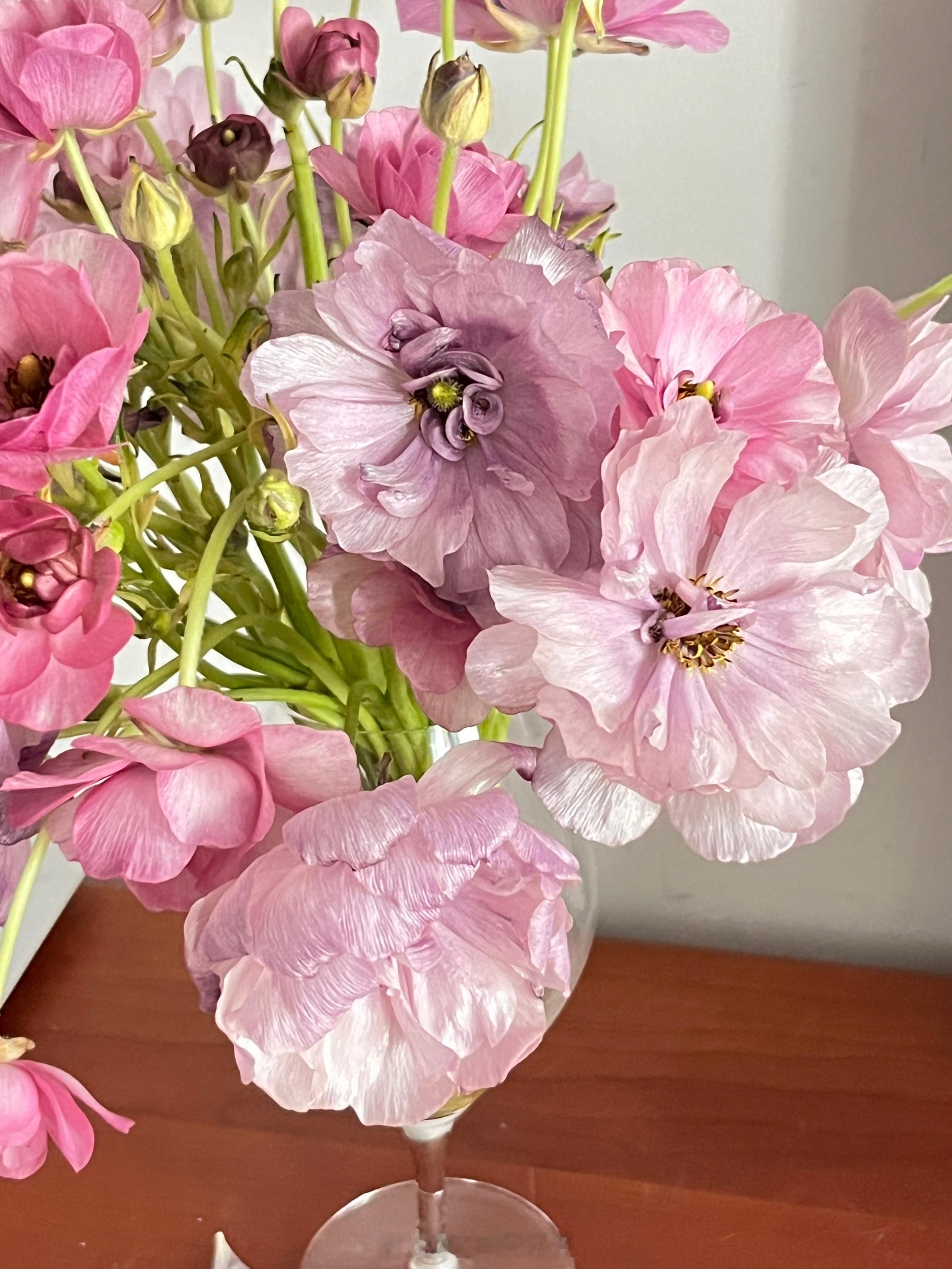 出门几天，回家发现“乌梅子酱”褪成了带灰调的浅紫色！  ​​​