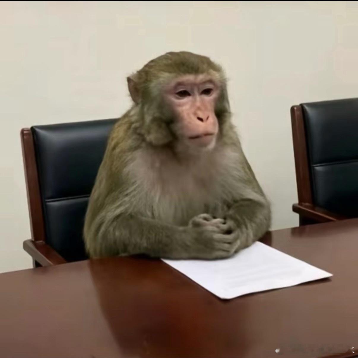 当然了在别人眼里我可能也是幸福的每次听到这个我都会 会心一笑家人们，我这都天天吃