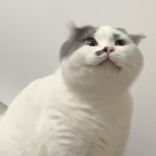 审丑积累