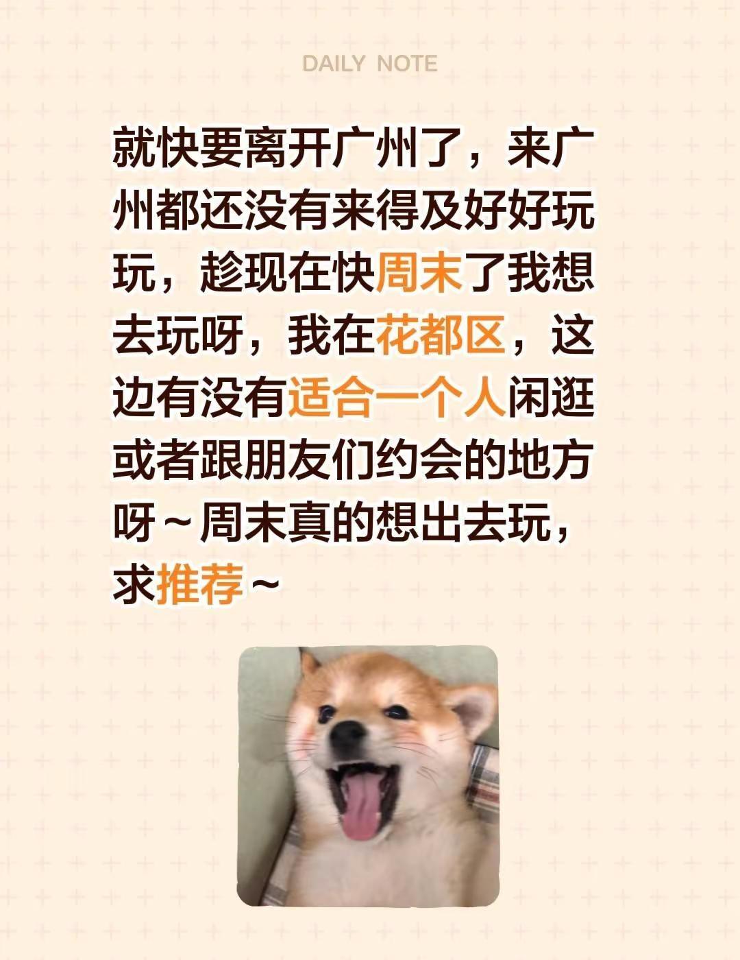 就快要离开广州了，来广州都还没有来得及好好玩玩，趁现在快周末了我想去玩呀，我在花