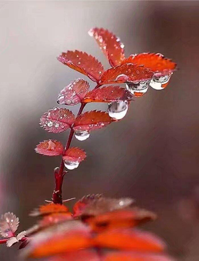 这季节，一朵小花一片嫩芽，都能让人感觉到春天的气息。