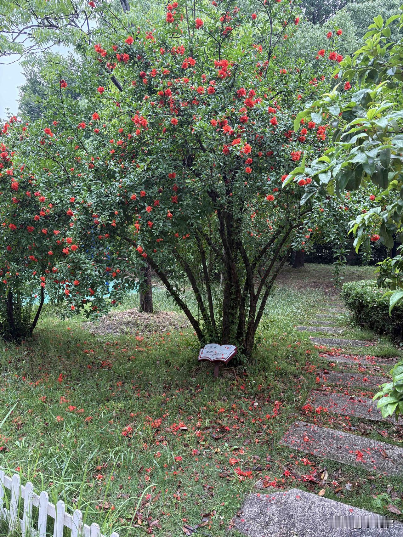 女权盛行，娶老婆最重要的一点就是听话！