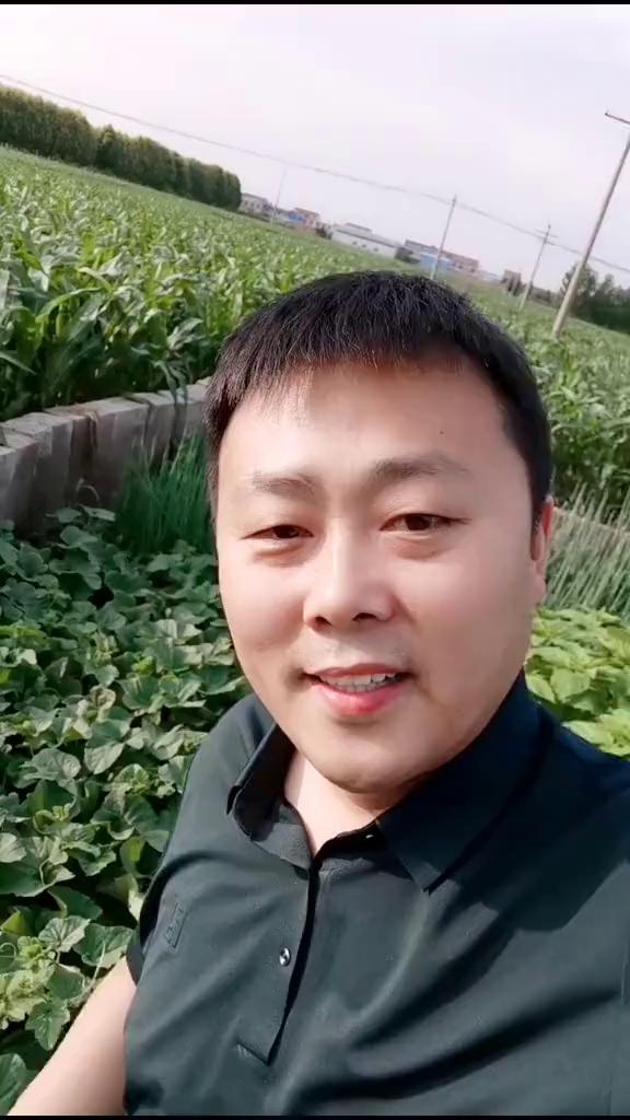 我们自己家种的甜瓜可甜了。