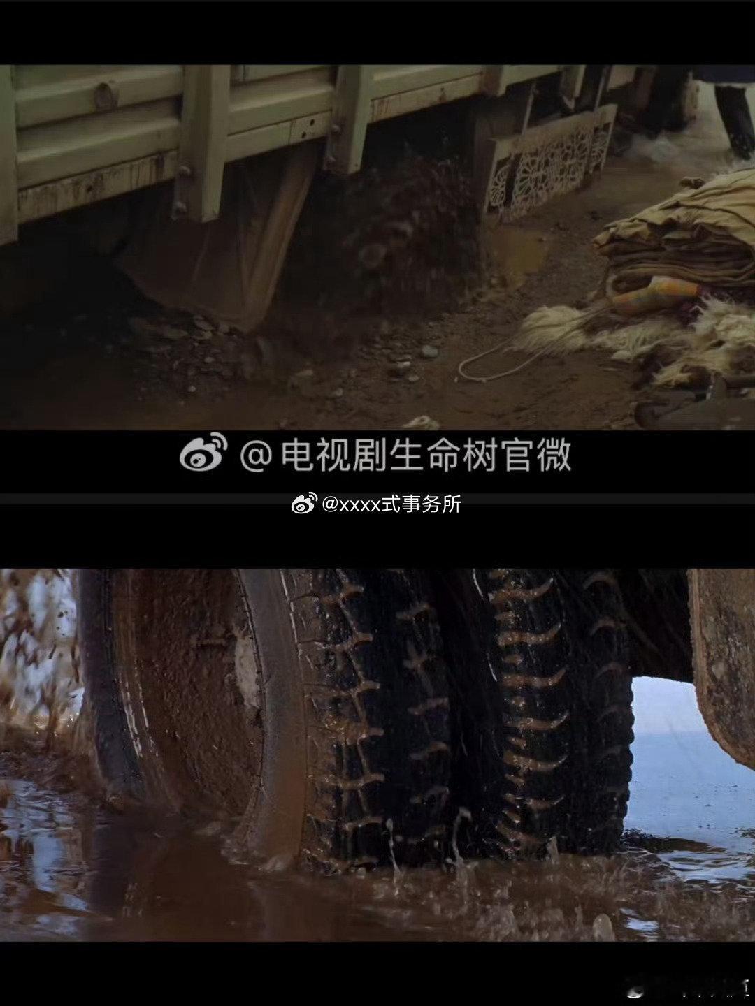 生命树被说抄袭 是不是有点牵强 