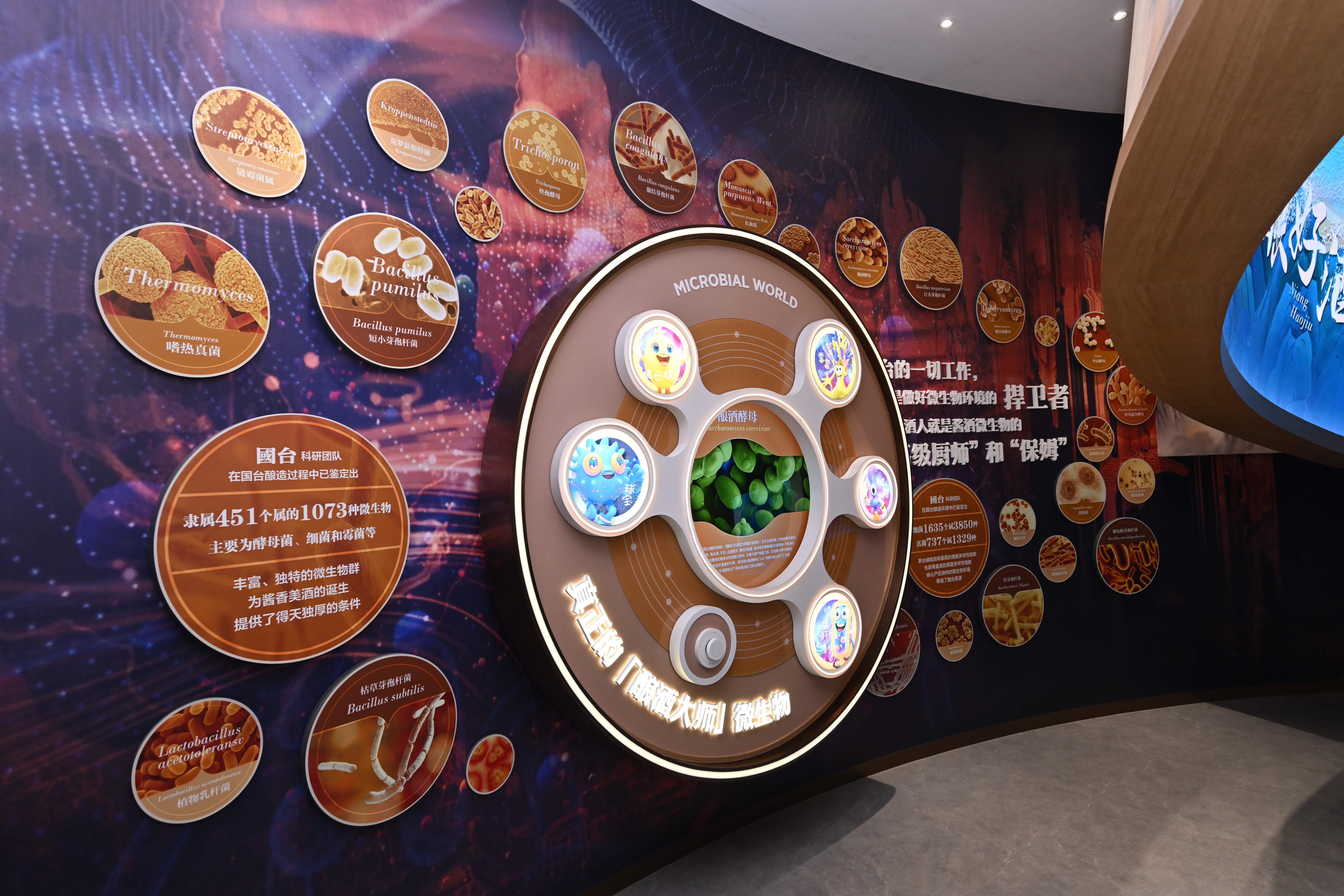 没想到，小撒在国台酒厂 遇到了“线上游学”的李白！两人从诗词聊到微生物，从古法谈