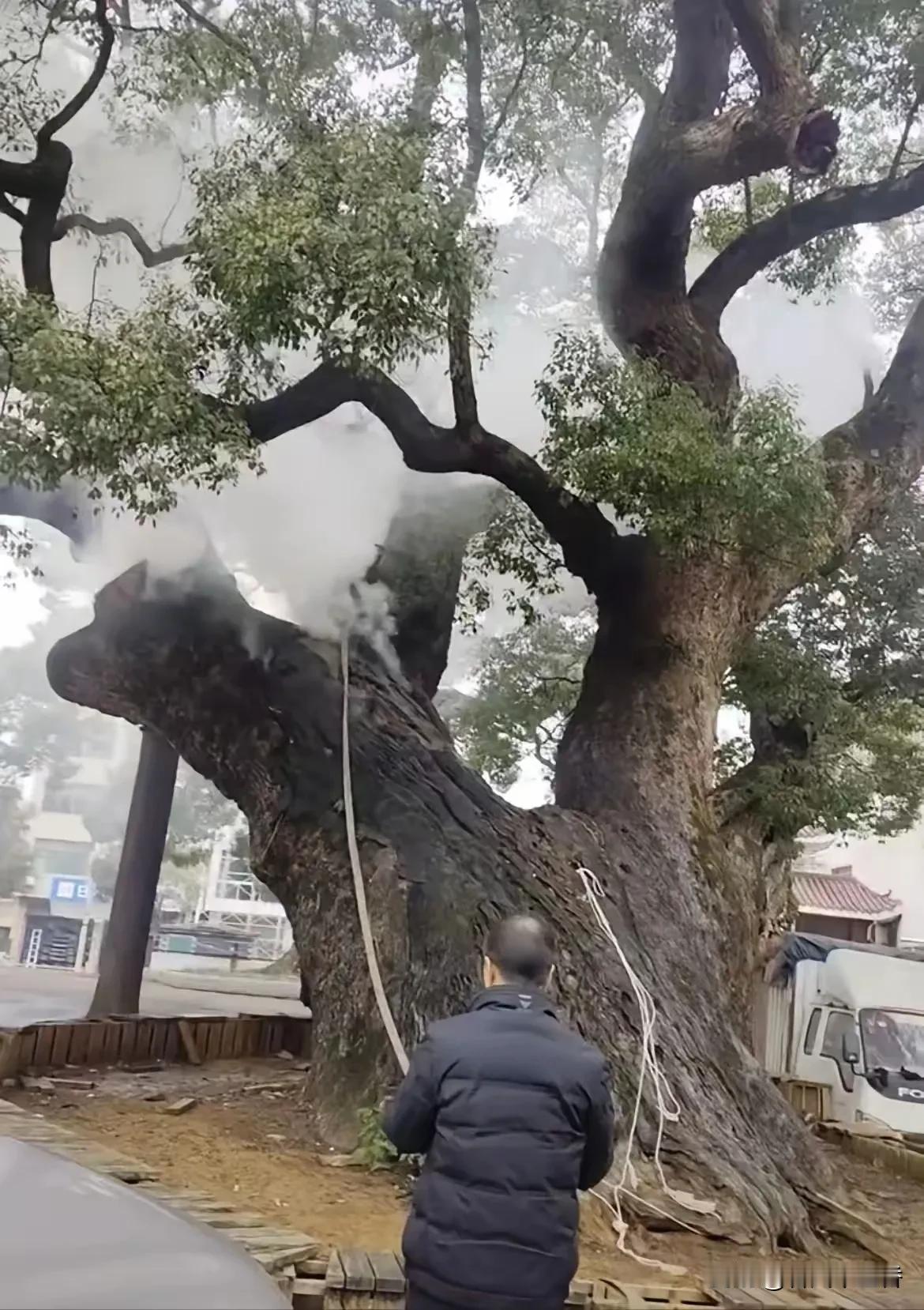 “永州之野产异蛇"唐代诗人柳宗元让我们知道了永州！2月9日，湖南永州道县祥霖铺镇
