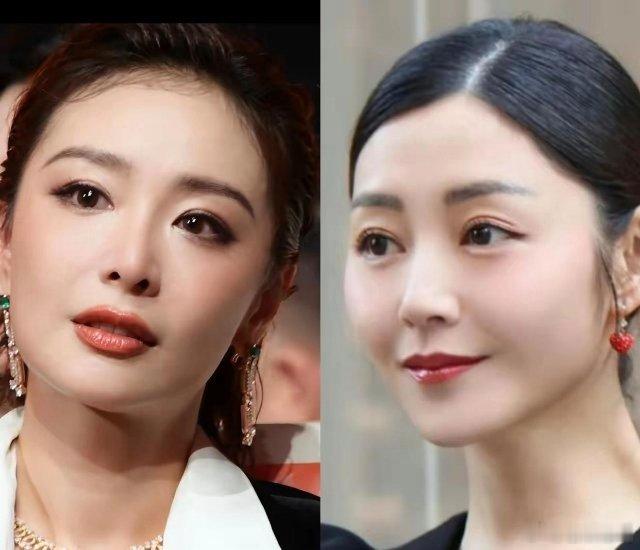 高叶这次没能获奖其实是有原因的。不是她的演技不好，也不是剧本不好，而是高叶的《南