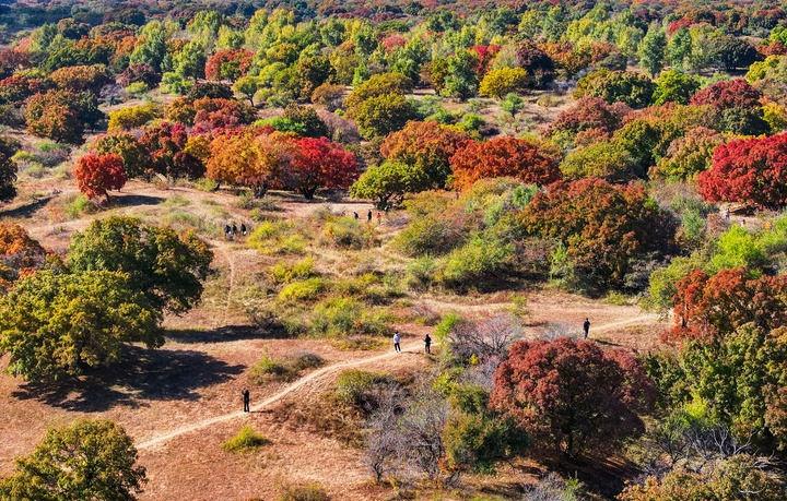 转变看世界的角度，同样的生活，会显现出不同的风景。