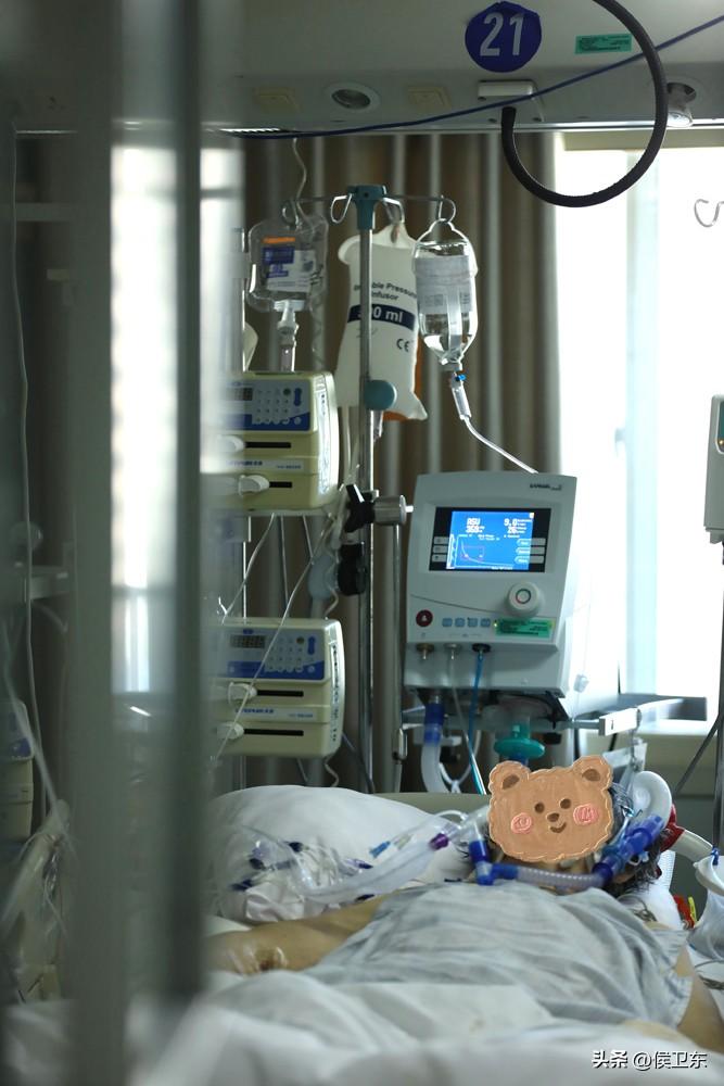 老头子躺重症监护室了
昏迷两天了
这次
怕是很难了