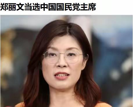 这个老店莫又出一个投机分子
     当选的这个郑丽文19岁便加入绿营，十几年后