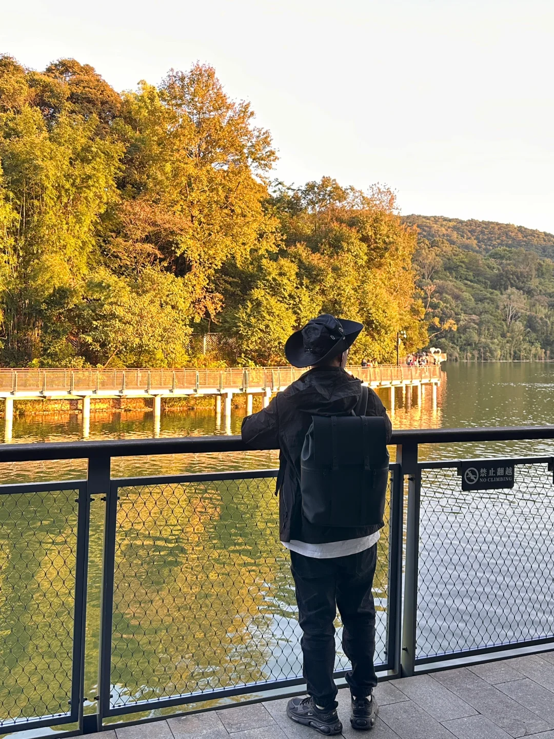 白云山也开始有一点秋天🍂氛围了