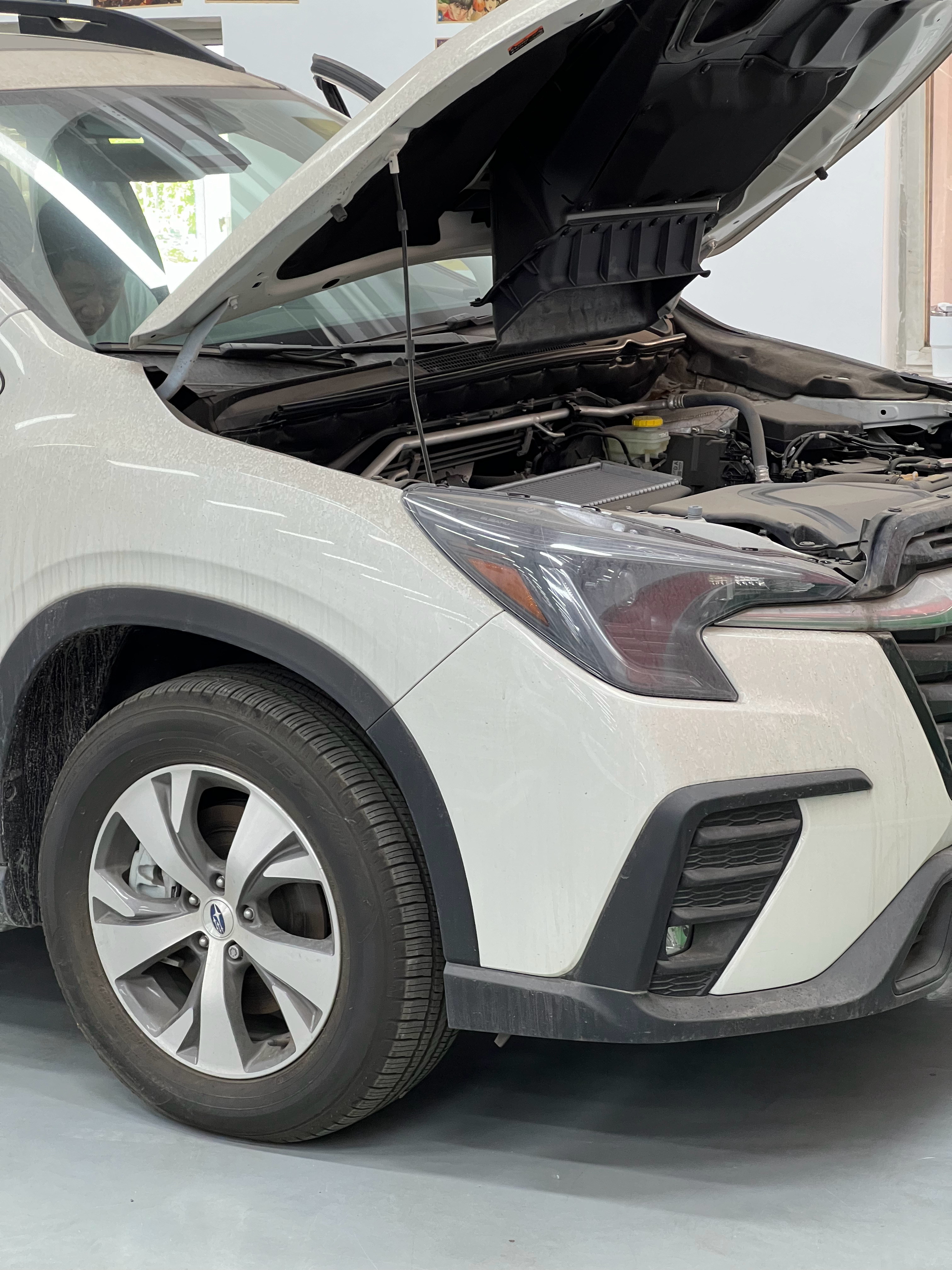 展厅来了个不合群的 天津·中国天津自由贸易试验区