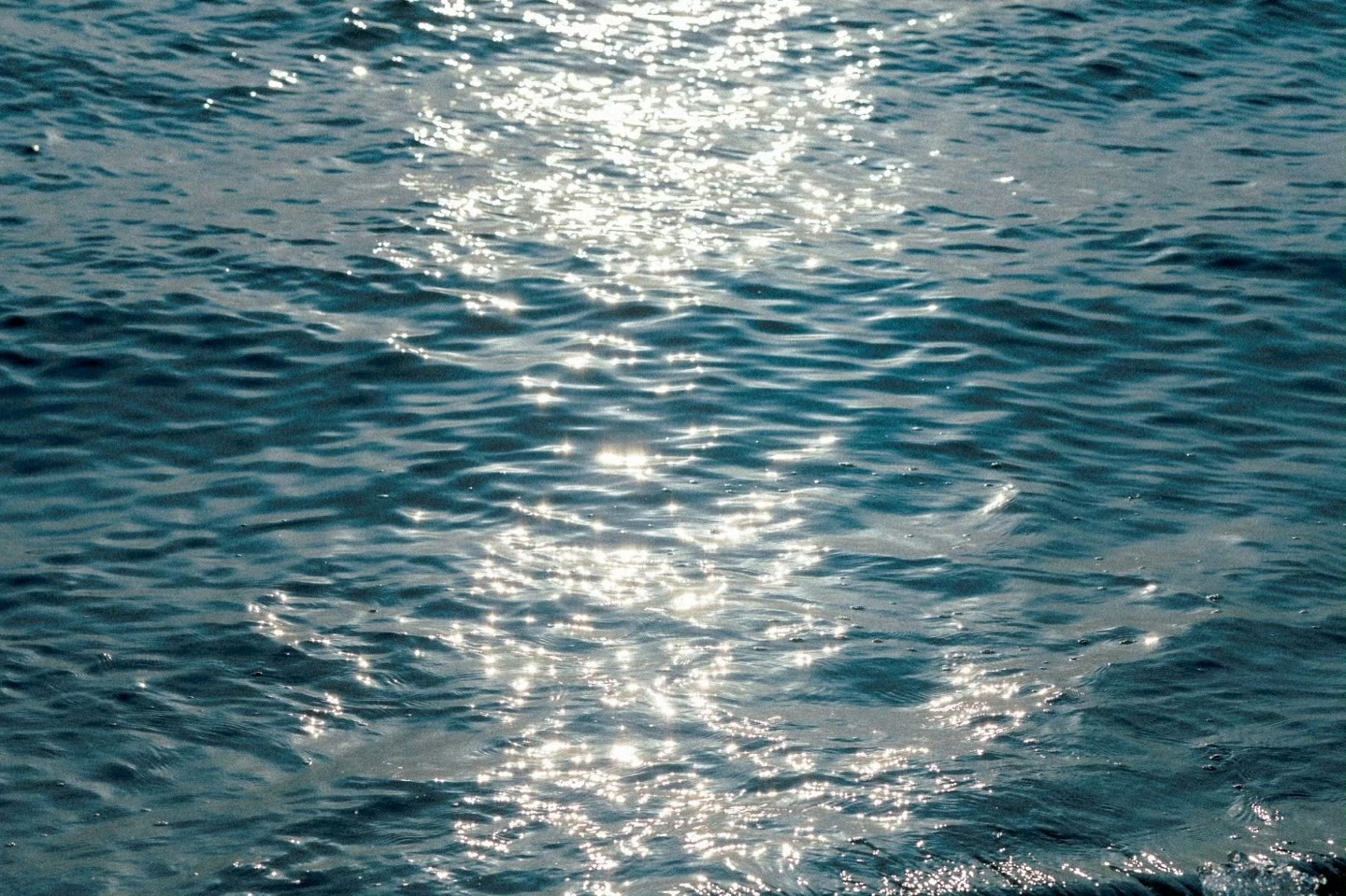 蓝色的夏 