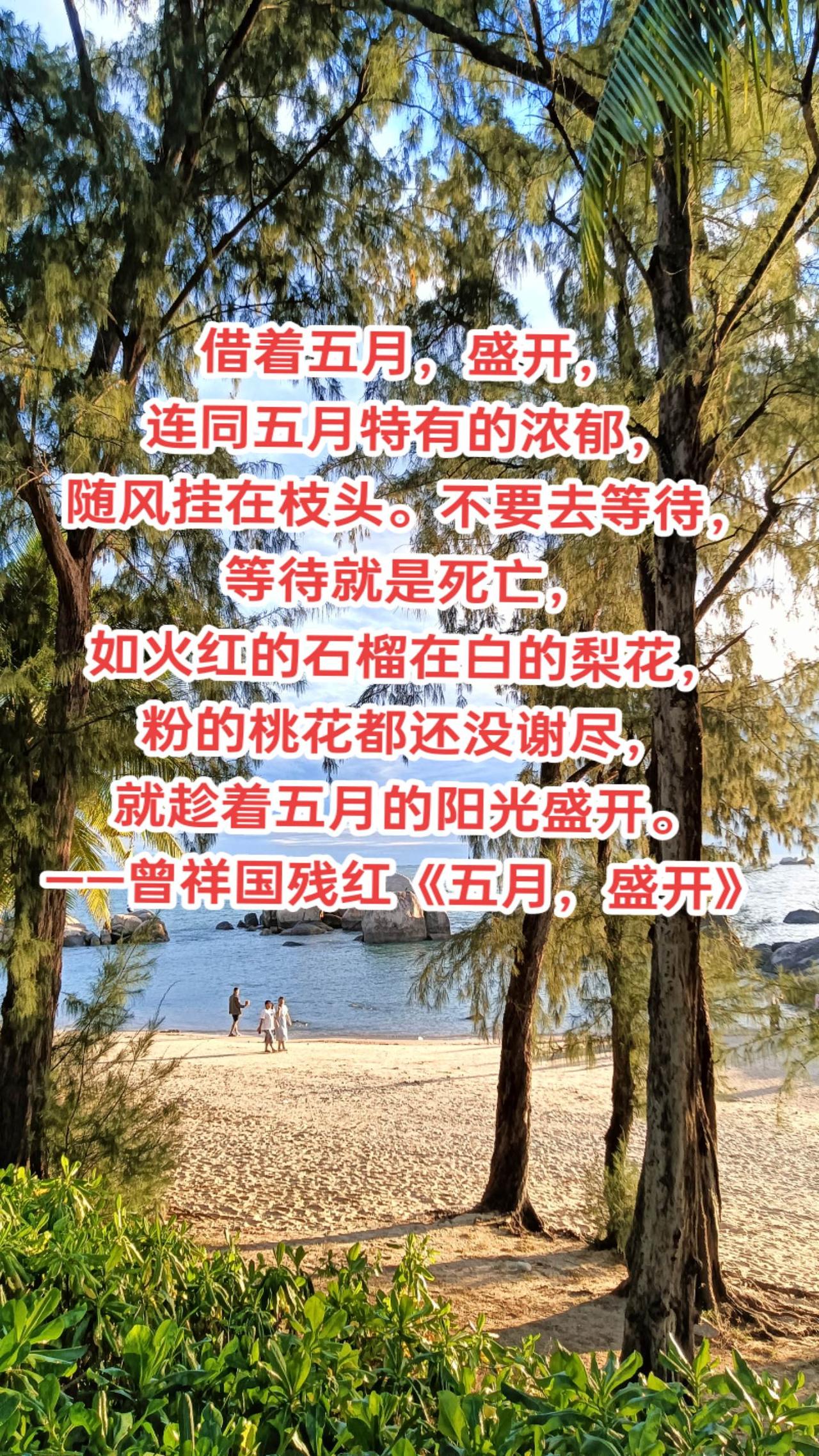 借着五月，盛开，
连同五月特有的浓郁，
随风挂在枝头。不要去等待，
等待就是死亡
