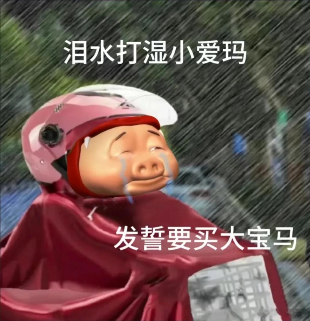 突然觉得有车真的很方便谁下雨天打不到车的时候自己不想要有一台车，雨里的狼狈只有感