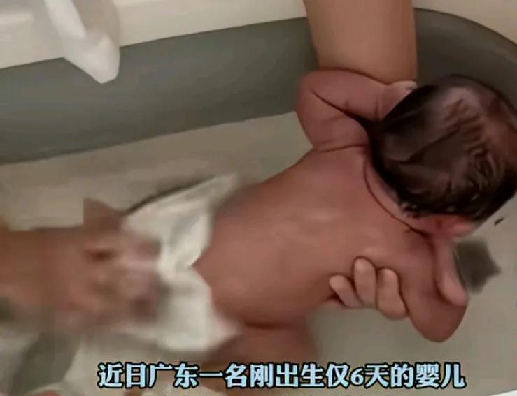 出生仅六天的婴儿被月嫂摔至颅内出血。家属找老板要说法，
他却说他申请破产了，
你