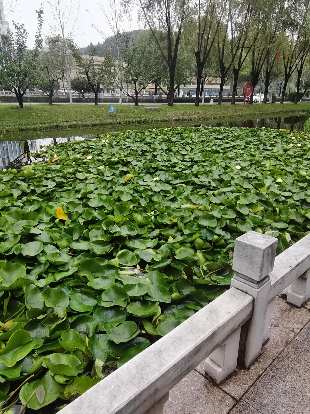 如果有来生，我不想结婚了！

前几天，我突然感觉脑子疼的厉害，家里人都在，我就说