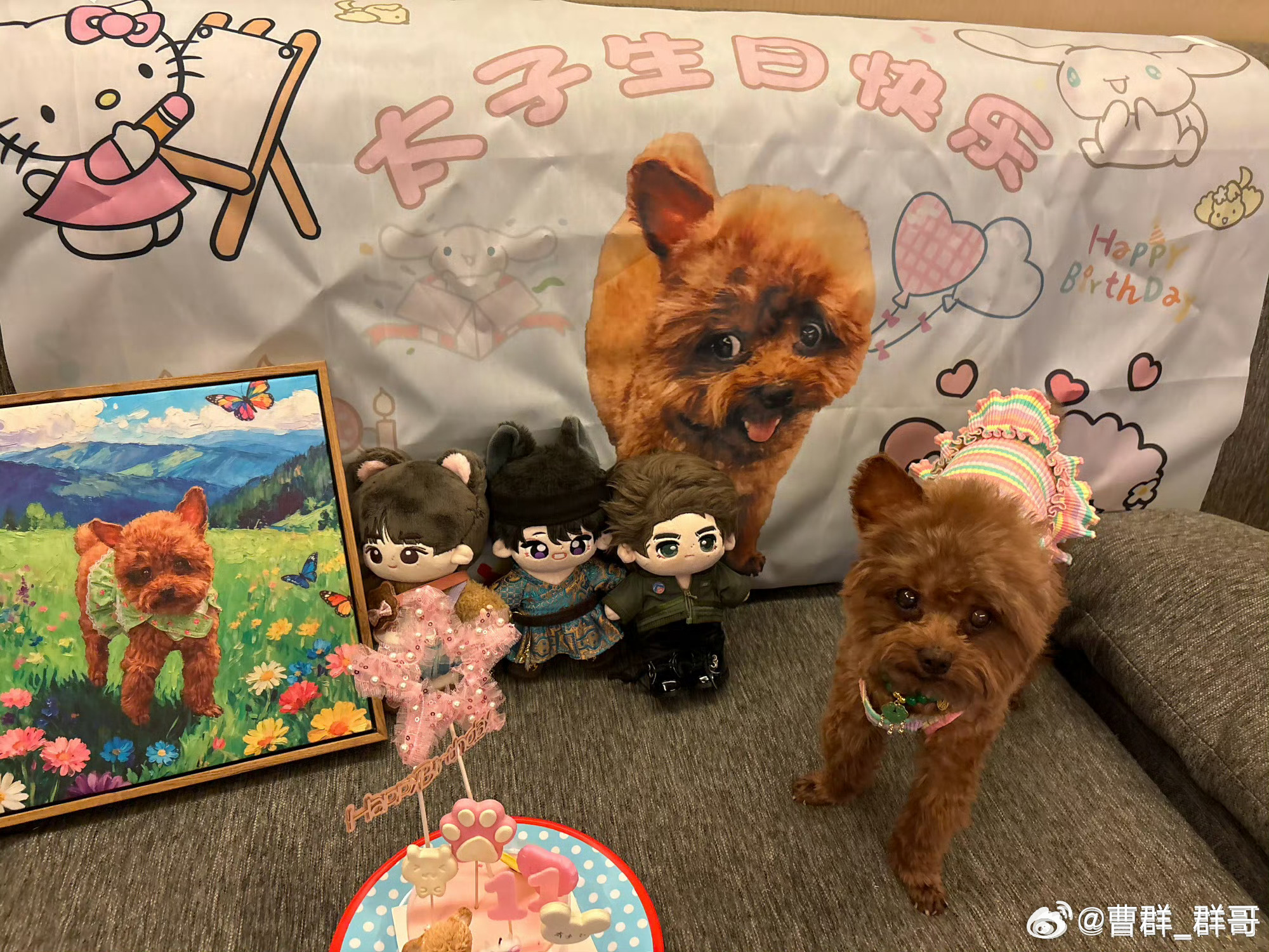 冷雨夜连夜找秋裤